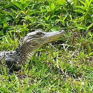 Meet your Posher, Scott